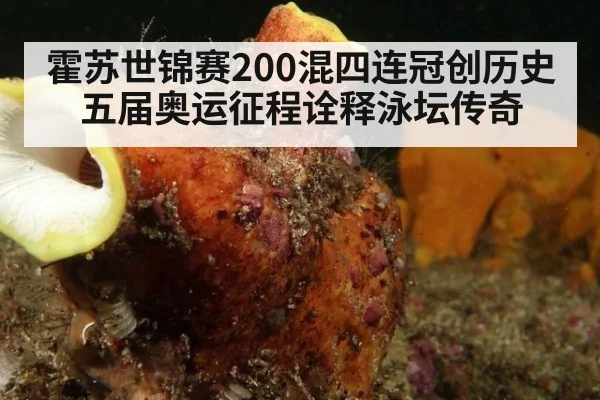 霍苏世锦赛200混四连冠创历史 五届奥运征程诠释泳坛传奇