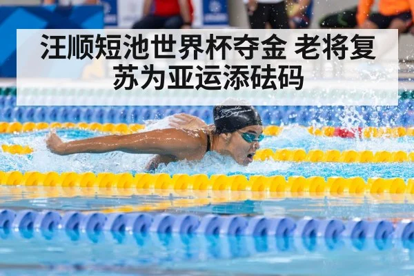 汪顺短池世界杯夺金 老将复苏为亚运添砝码